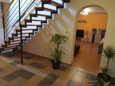 a staircase in a living room with two plants at Celý rodinný dům na venkově in Kouřim