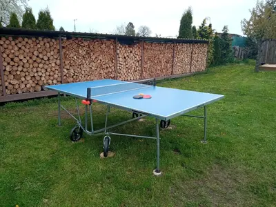 a ping pong table in the grass in a yard at Celý rodinný dům na venkově in Kouřim