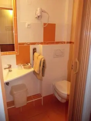 a bathroom with a toilet and a sink and a mirror at Pension U akátu in Prague