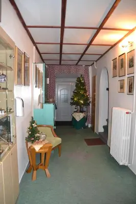 a hallway with a christmas tree in a room at Pension U akátu in Prague