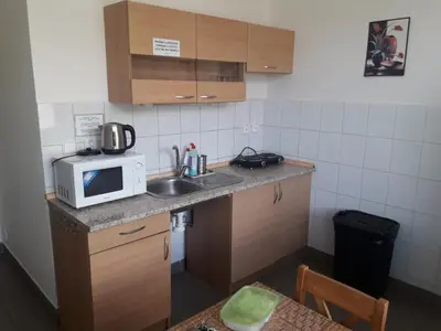 a small kitchen with a sink and a microwave at Ubytovna Koupaliště in Litoměřice