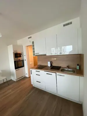 a kitchen with white cabinets and a sink at Apartment David O2 Arena Prague in Prague