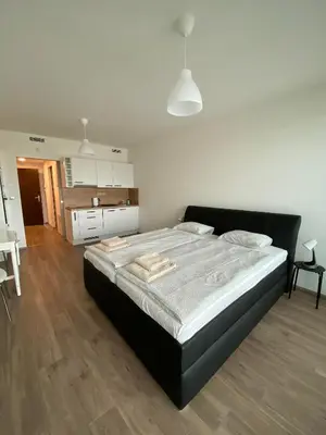a bedroom with a large bed in a room at Apartment David O2 Arena Prague in Prague
