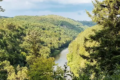 a view of a river in the middle of a forest at Chalupa Daisy Posázaví - rekreační ubytování blízko Prahy in Bohuliby