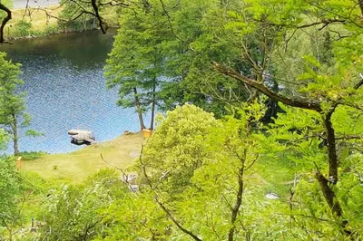 a view of a lake in the middle of a forest at Chalupa Daisy Posázaví - rekreační ubytování blízko Prahy in Bohuliby