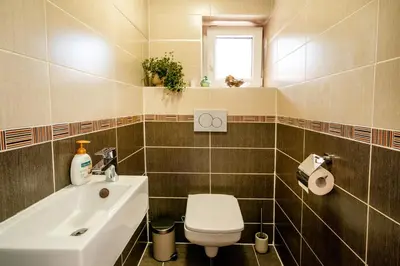 a bathroom with a white toilet and a sink at Apartmán u Jiříka in Poděbrady
