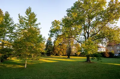 a park with trees in the middle of a field at Apartmán u Jiříka in Poděbrady