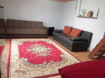 a living room with a couch and a red rug at Sazava River Cottage with boating experience in Týnec nad Sázavou