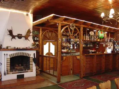 a bar with a fireplace in a room at Lovecký hotel Jívák in Loučeň