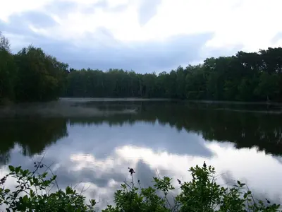 a large lake with trees in the background at Lovecký hotel Jívák in Loučeň