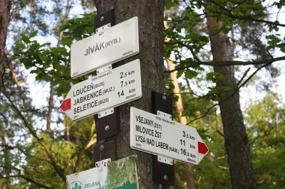 a pole with signs attached to a tree at Lovecký hotel Jívák in Loučeň