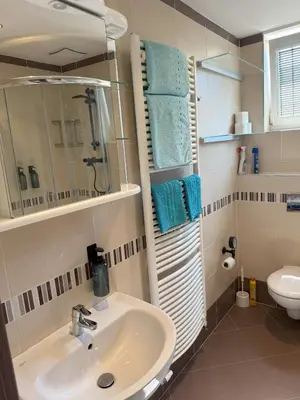 a bathroom with a sink and a toilet at Apartment IRON CUBE in Prague