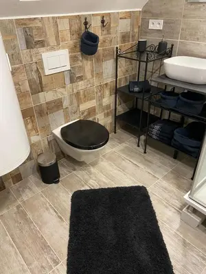 a bathroom with a toilet and a sink at Ubytování U Synagogy Dobříš in Dobříš