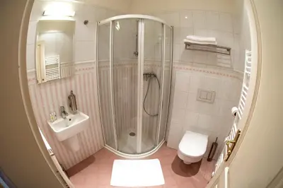 a bathroom with a shower and a toilet and a sink at Babiččina Zahrada Penzion & Restaurant in Pruhonice