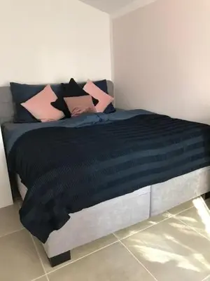 a bedroom with a large bed with pink and black pillows at Apartman Romantica in Poděbrady