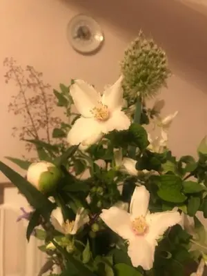 a bouquet of white flowers in a vase at Apartman Romantica in Poděbrady