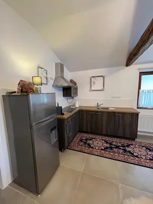 a kitchen with a stainless steel refrigerator and a sink at Apartman Romantica in Poděbrady