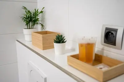 a tray with a drink on a counter with potted plants at Premium Wenceslas Square Apartments in Prague