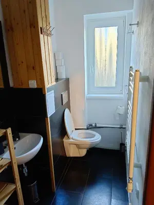 a bathroom with a toilet and a sink and a window at Apartmán Matěj in Poděbrady