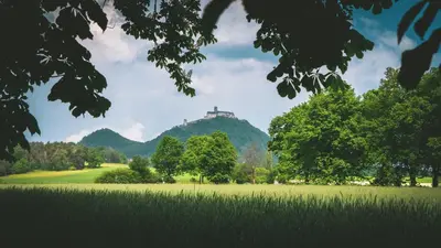 a field with trees and a hill in the background at Vilka Petra pod Bezdězem in Weisswasser in Böhmen