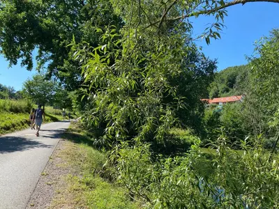a person walking down a road next to a tree at Apartmány pod Kozákem in Velké Popovice