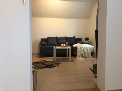 a living room with a couch and a dog laying on the floor at Apartmány Jevany in Jevany