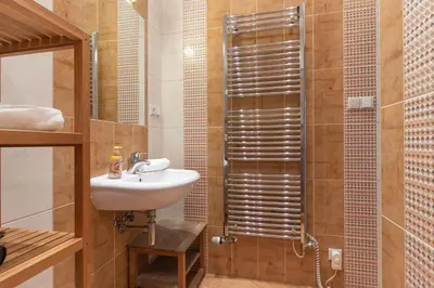 a bathroom with a sink and a shower at The BEST LOCATION in Prague, Charles Bridge & Old Town Square in Prague