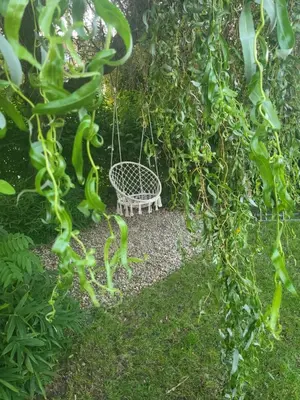 a swing in a garden with green vines at Hotel Restovna in Jíloviště