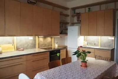 a kitchen with a table with a potted plant on it at Rodinný apartmán v centru Prahy in Prague