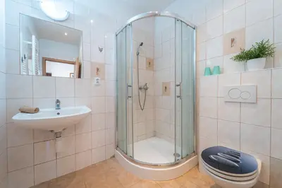 a bathroom with a shower and a sink and a toilet at Apartmán v Ladově kraji in Ondřejov