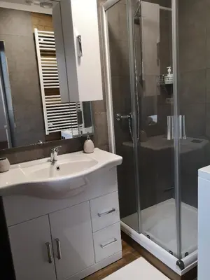 a bathroom with a sink and a shower at Fine apartment in centrum of Slaný with Aircondition in Slaný