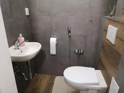a bathroom with a toilet and a sink at Fine apartment in centrum of Slaný with Aircondition in Slaný
