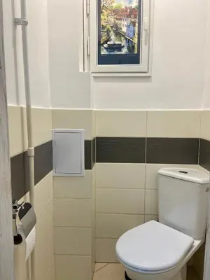 a bathroom with a toilet and a picture on the wall at Lokal apartment in Prague