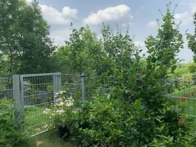 a fence in front of a garden with flowers at byt Panorama Hlubočepy in Prague