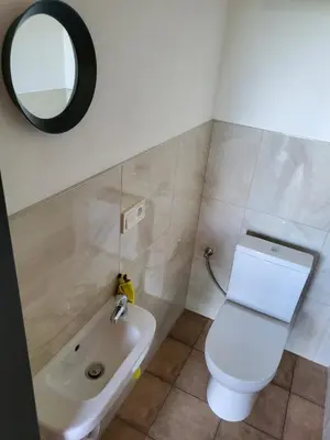 a bathroom with a toilet and a sink and a mirror at RIP by Říp in Krabčice