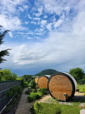 a group of wine barrels sitting in a garden at RIP by Říp in Krabčice