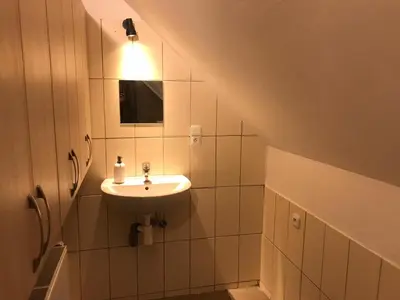 a bathroom with a sink and a mirror at Bohemica Apartman 4 in Kouřim