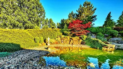 a garden with a pond in the middle at TOP HOTEL Praha in Prague