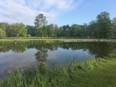 a pond in a park with trees in the background at Expo Hotel in Prague