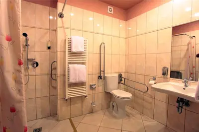 a bathroom with a toilet and a sink and a shower at Atlantic Hotel in Prague