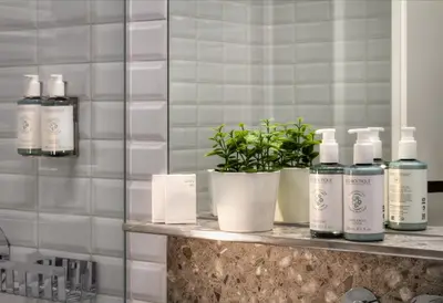 a shelf with bottles of soap and a plant at Hotel Mucha in Prague