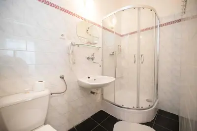a bathroom with a shower and a toilet and a sink at Hotel Grand in Řevnice