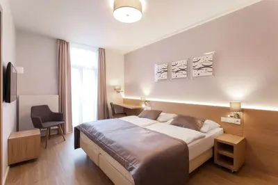 a hotel room with a large bed and a chair at Hotel Carol in Prague