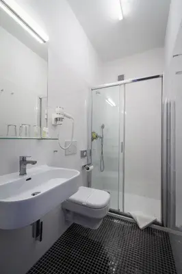 a bathroom with a toilet and a sink and a shower at Hotel White Lion in Prague