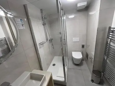 a bathroom with a shower and a sink and a toilet at The Golden Wheel Hotel in Prague