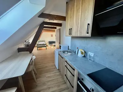 a kitchen with a sink and a counter top at Apartmány Statek Bezdědice in Hostomice