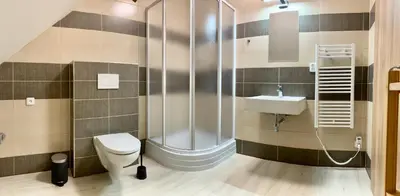 a bathroom with a shower and a toilet and a sink at Apartmány Statek Bezdědice in Hostomice