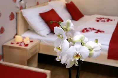 a vase of white flowers in front of a bed at Anděl Apartments Praha in Prague