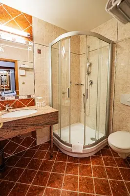 a bathroom with a shower and a sink and a toilet at Hotel U Divadla - Czech Leading Hotels in Prague