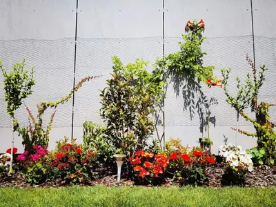a garden with flowers and plants in the grass at yipin villa in Prague